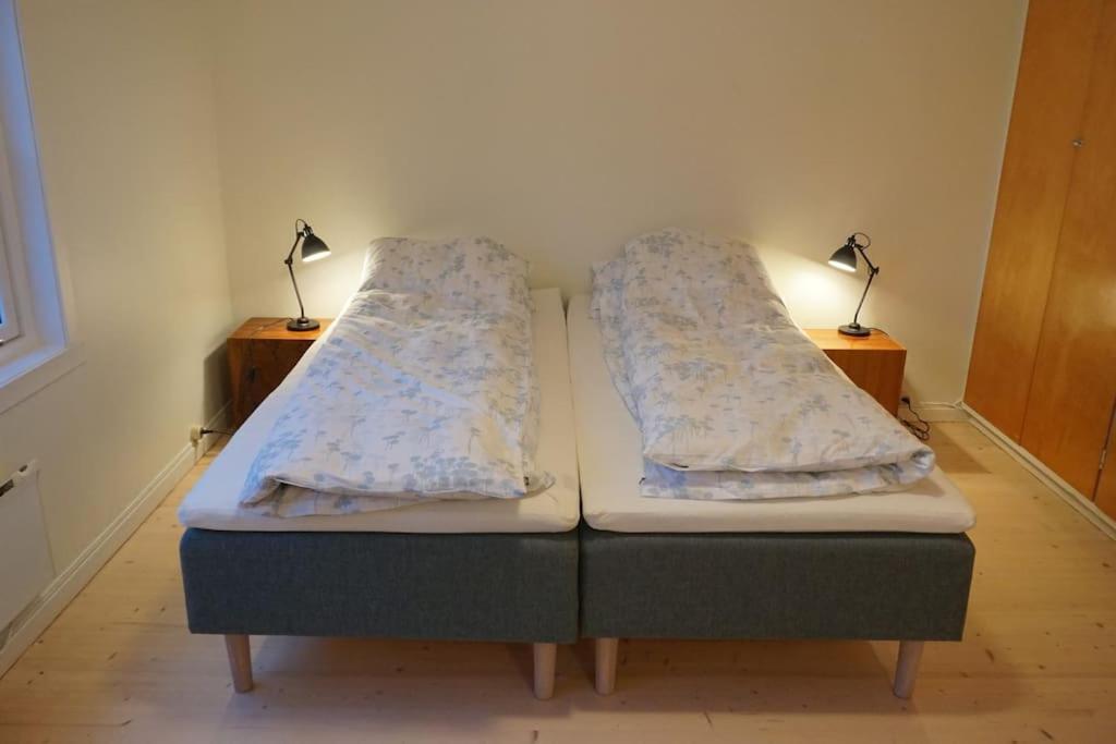 Moonvalley Lodge - Stort & Koselig Hus - Mandalen Extérieur photo